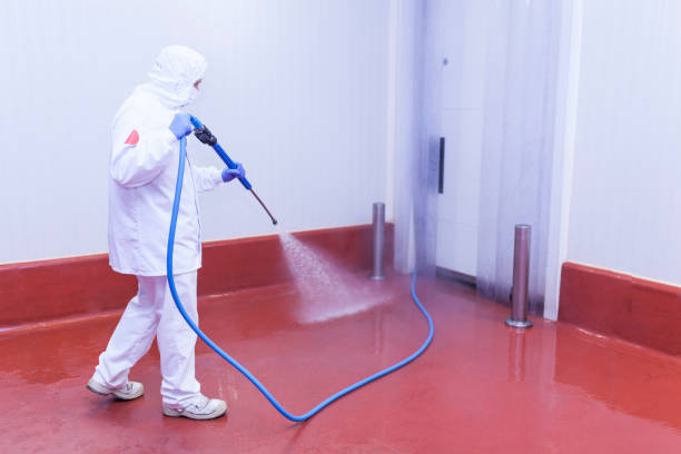 Best Dumpster Area Cleaning  in Monette, AR